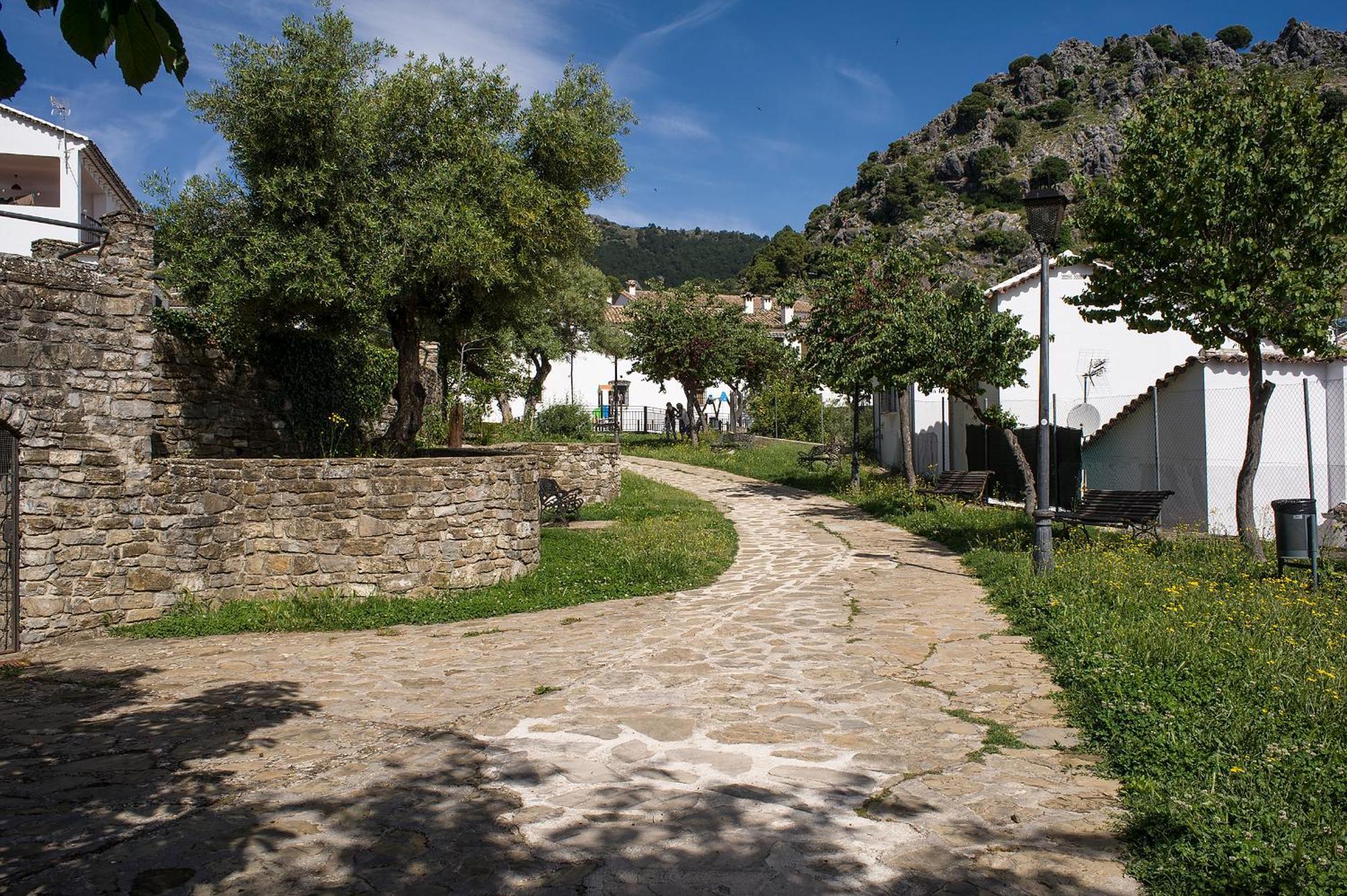 Casa Rural La Callejita 格拉茨莱马 外观 照片